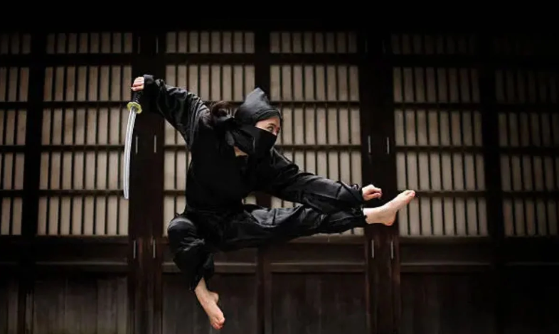 lwedninja